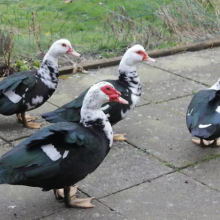 Bed and Breakfast I *